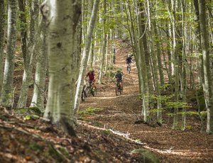 Discovering Monte Amiata by Bike