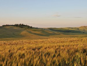 Panoramic itinerary between Val d'Orcia and Valdichiana Senese