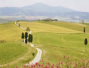 Panoramic itinerary between Val d'Orcia e Valdichiana Senese
