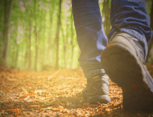 Hiking for groups among churches, landscapes and good wines