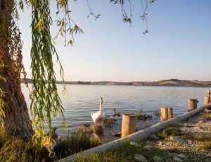 Hiking  - Celebrating water