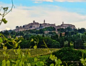 A tour across the Tuscan wines