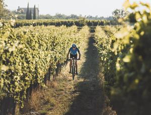 Vino Nobile di Montepulciano wine tour in e-bike
