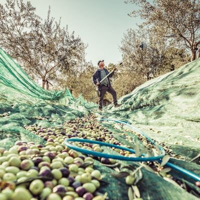 Frantoi aperti - nei borghi dell' Umbria