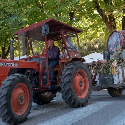 Festa dell'Uva e del Vino